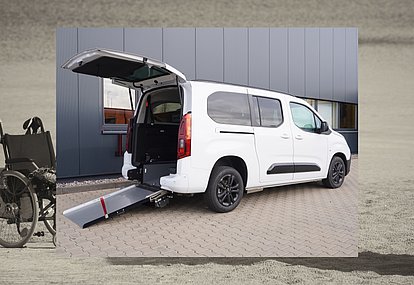 Branchenmodelle Behindertenfahrzeuge