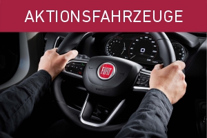 Aktuelle Angebot Iveco und Fiat Professional